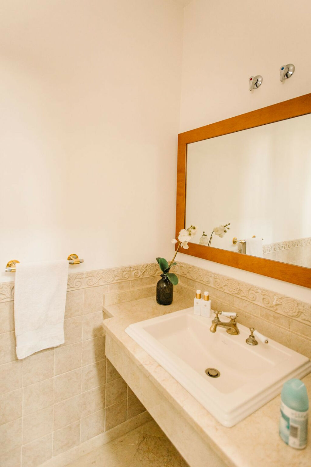 Detached Villa Estepona Málaga - image 33