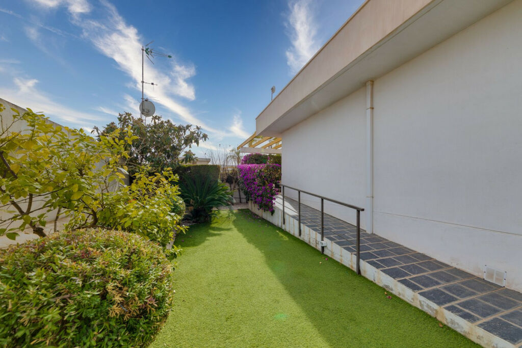 Bungalow Mil Palmeras Alicante - image 21