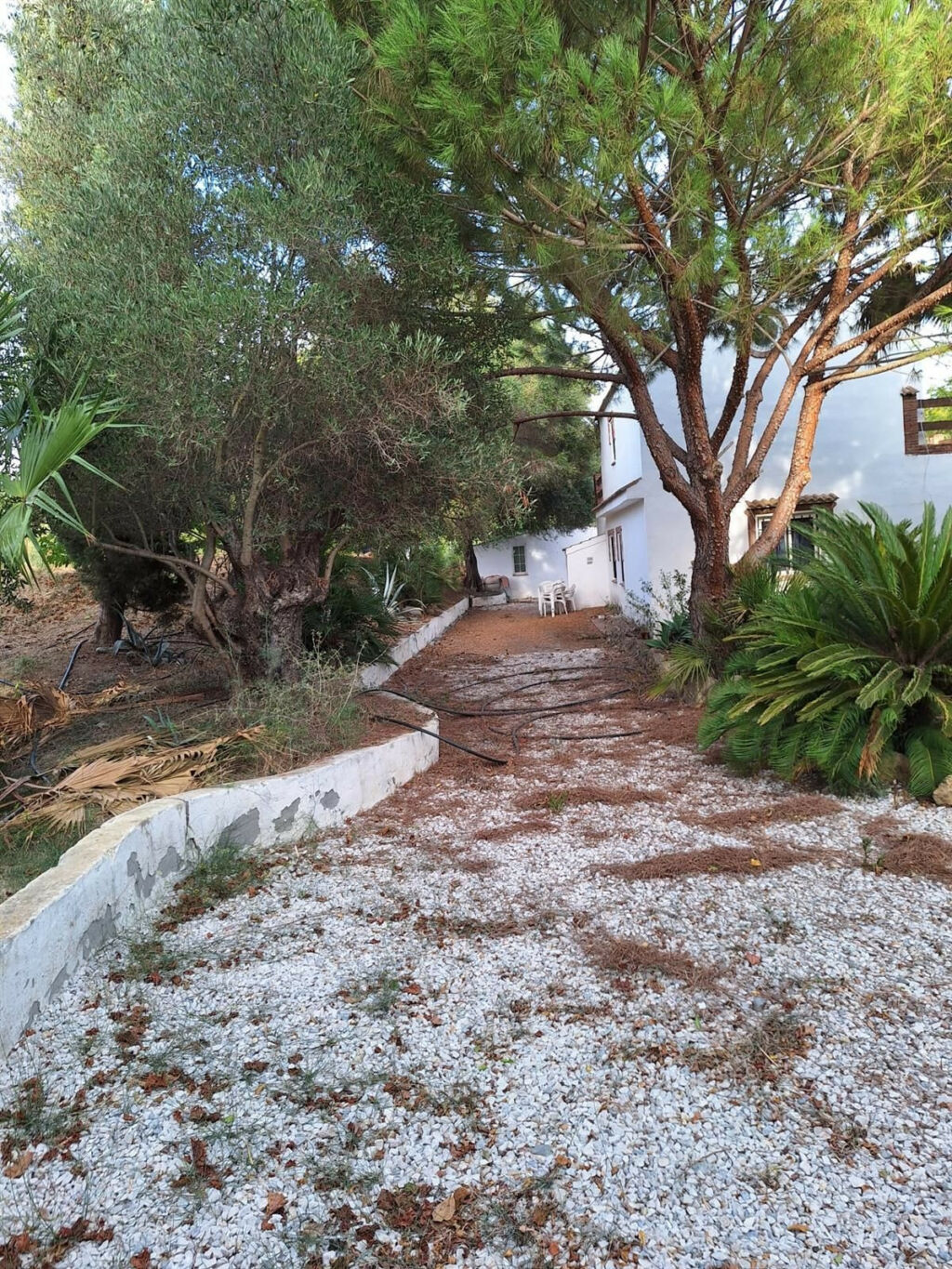 Finca - Cortijo San Martín de Tesorillo Cádiz - image 33