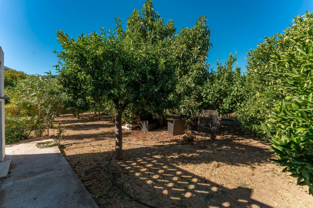 Finca - Cortijo Monda Málaga - image 34