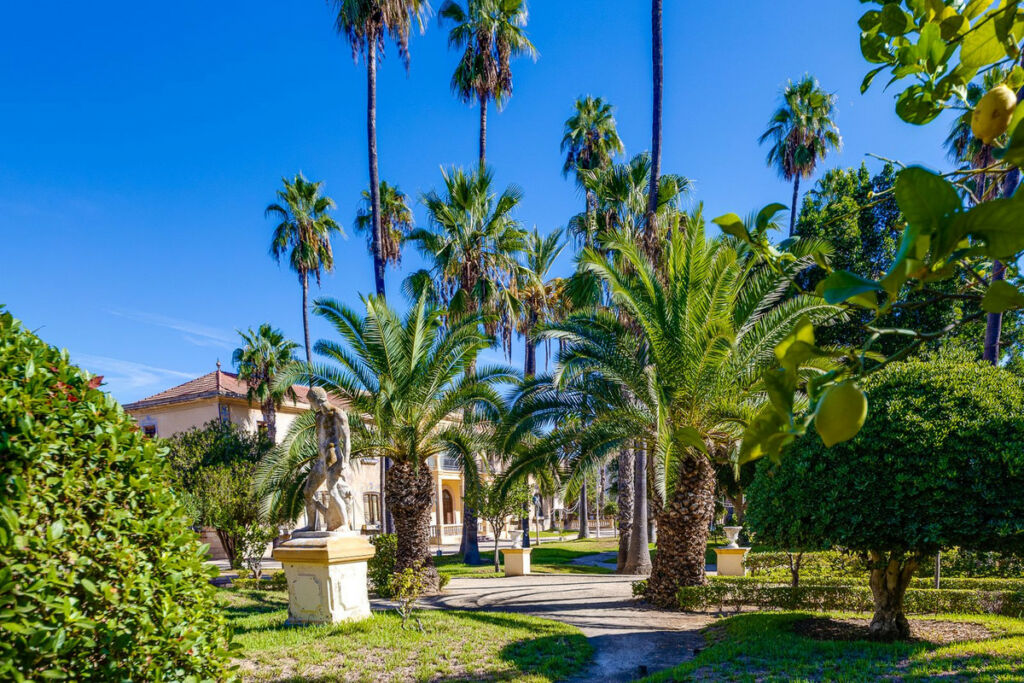 Top Floor Apartment Jacarilla Alicante - image 34