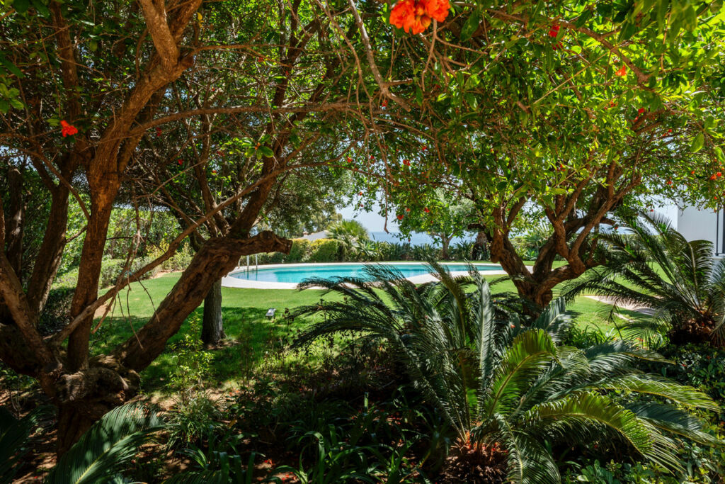 Detached Villa Sotogrande Cádiz - image 35