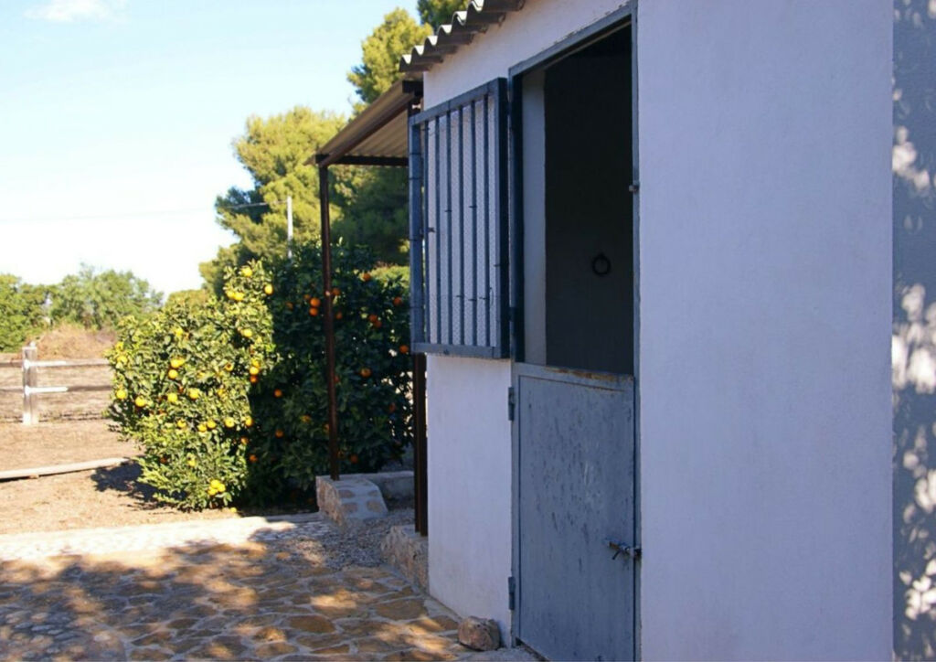 Detached Villa Lorca Murcia - image 33