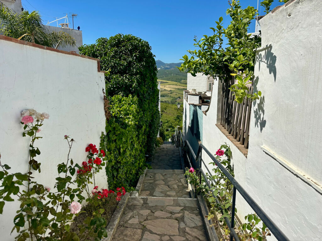 Detached Villa Manilva Málaga - image 35