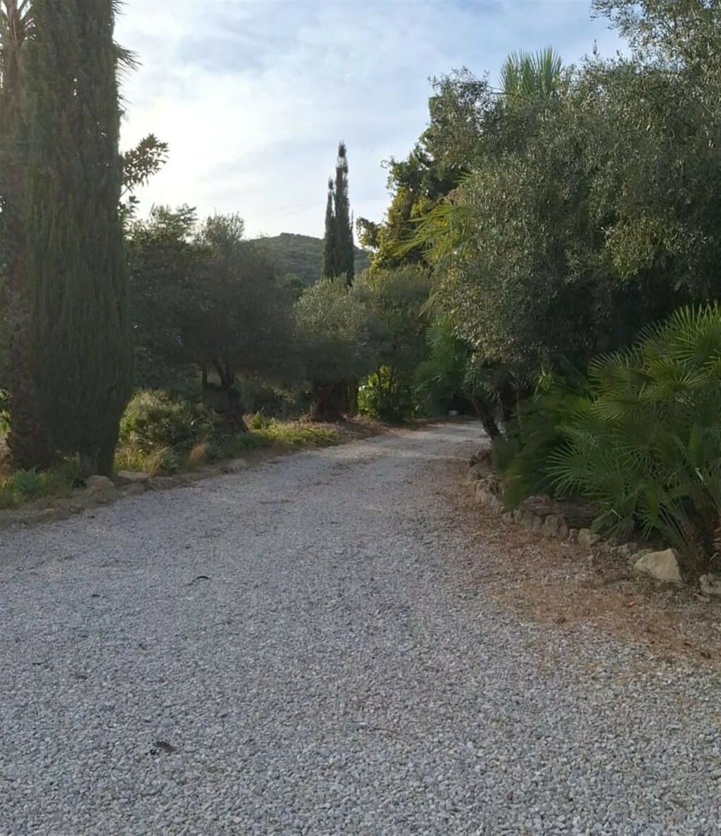 Finca - Cortijo San Martín de Tesorillo Cádiz - image 20