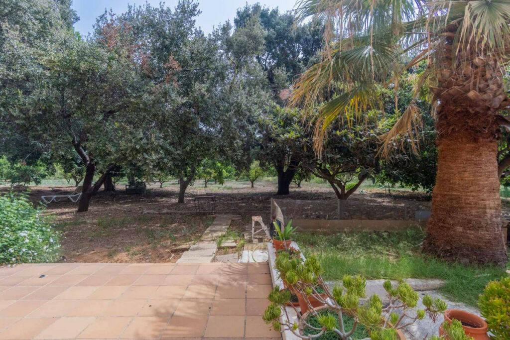 Detached Villa Denia Alicante - image 36
