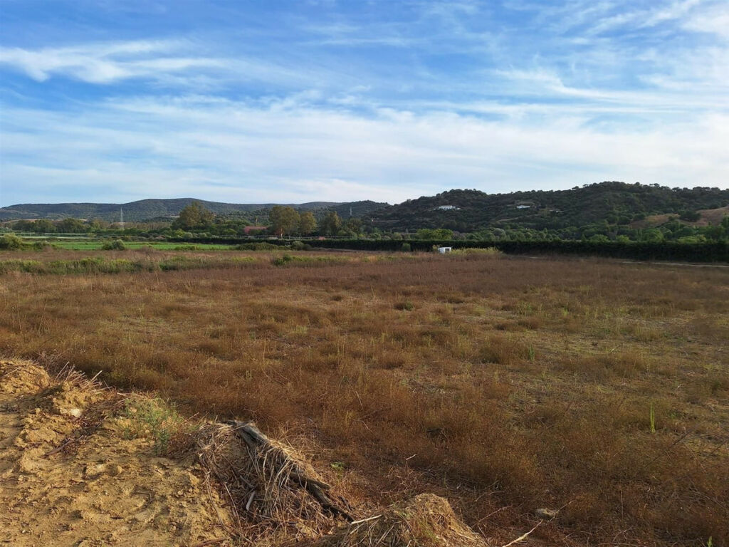 Finca - Cortijo San Martín de Tesorillo Cádiz - image 34