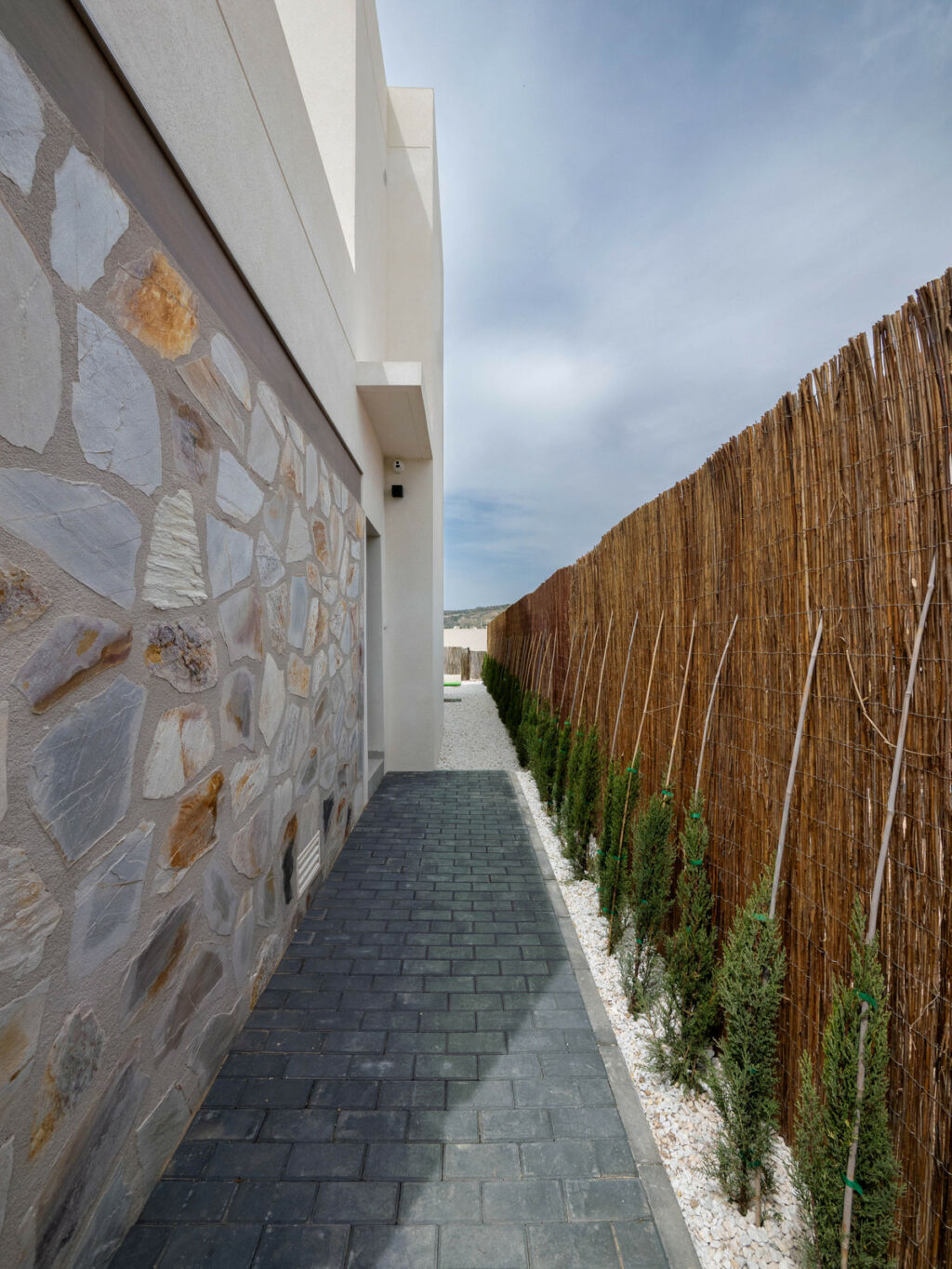 Detached Villa Algorfa Alicante - image 36