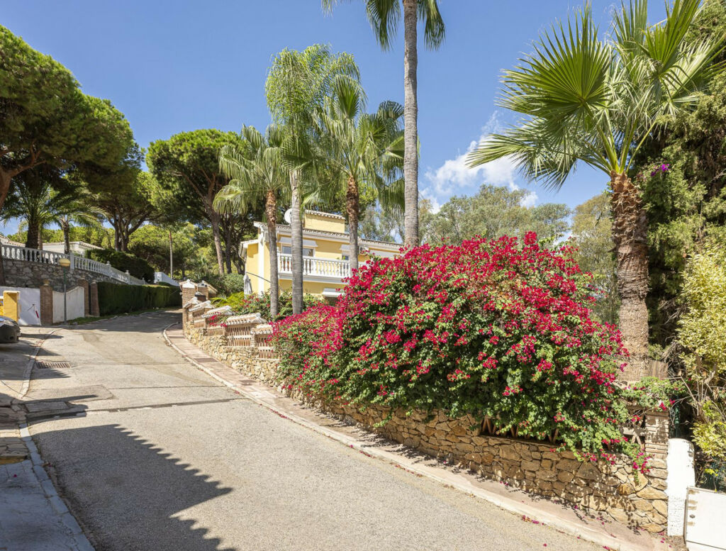 Detached Villa Calahonda Málaga - image 37