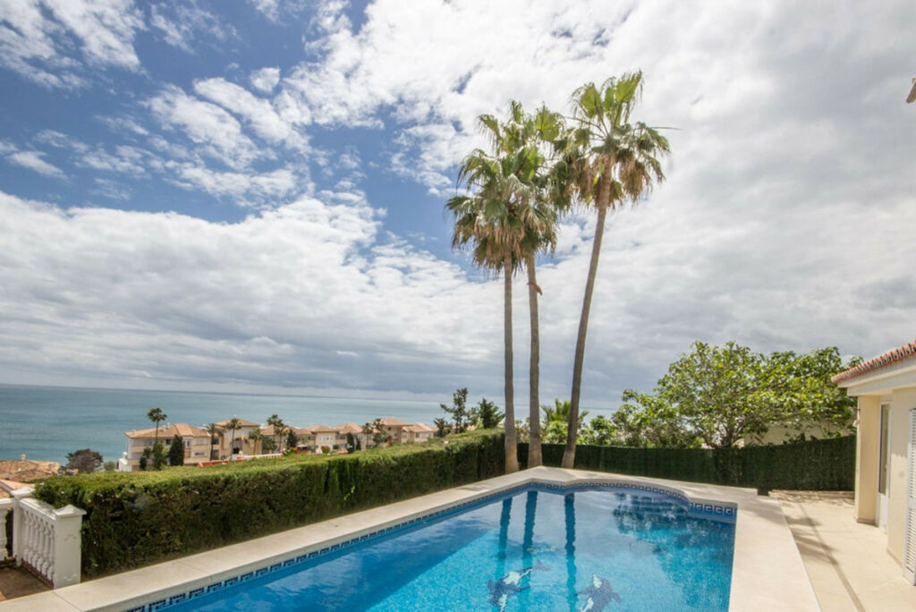 Detached Villa Estepona Málaga - image 37
