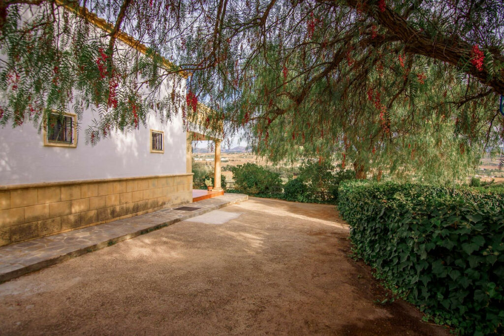 Detached Villa Ronda Málaga - image 37