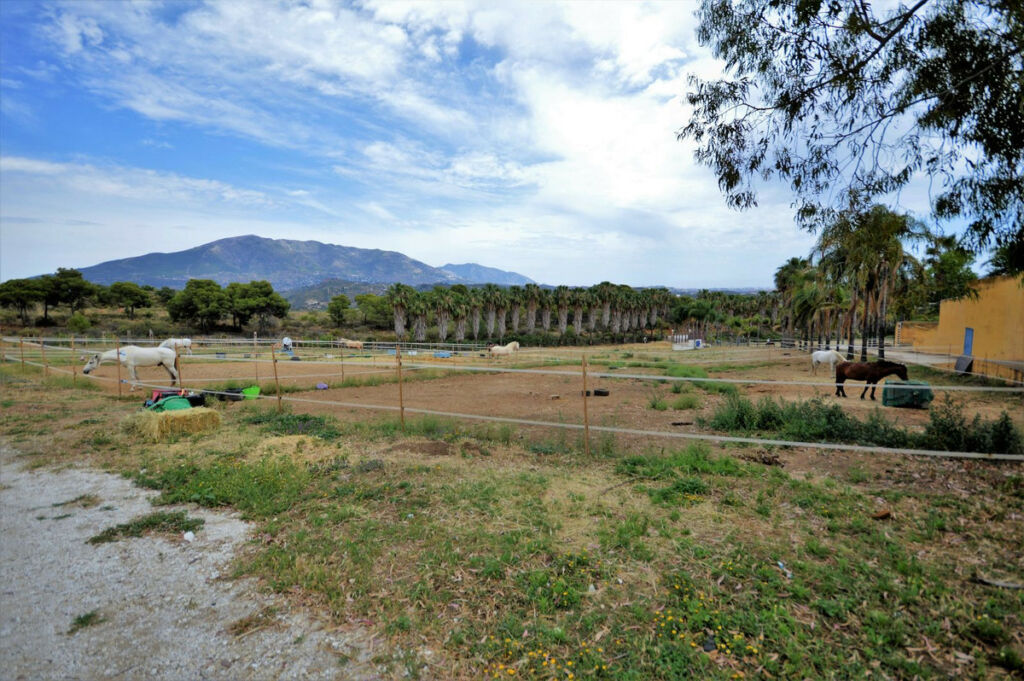 Finca - Cortijo Mijas Málaga - image 37
