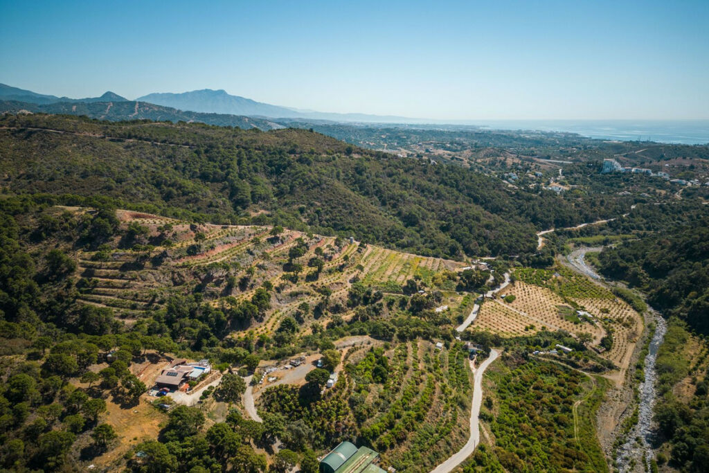 Finca - Cortijo Estepona Málaga - image 38