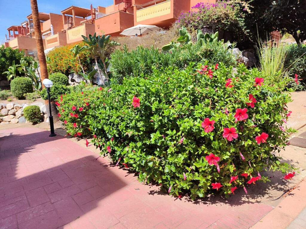 Middle Floor Apartment Reserva de Marbella Málaga - image 38