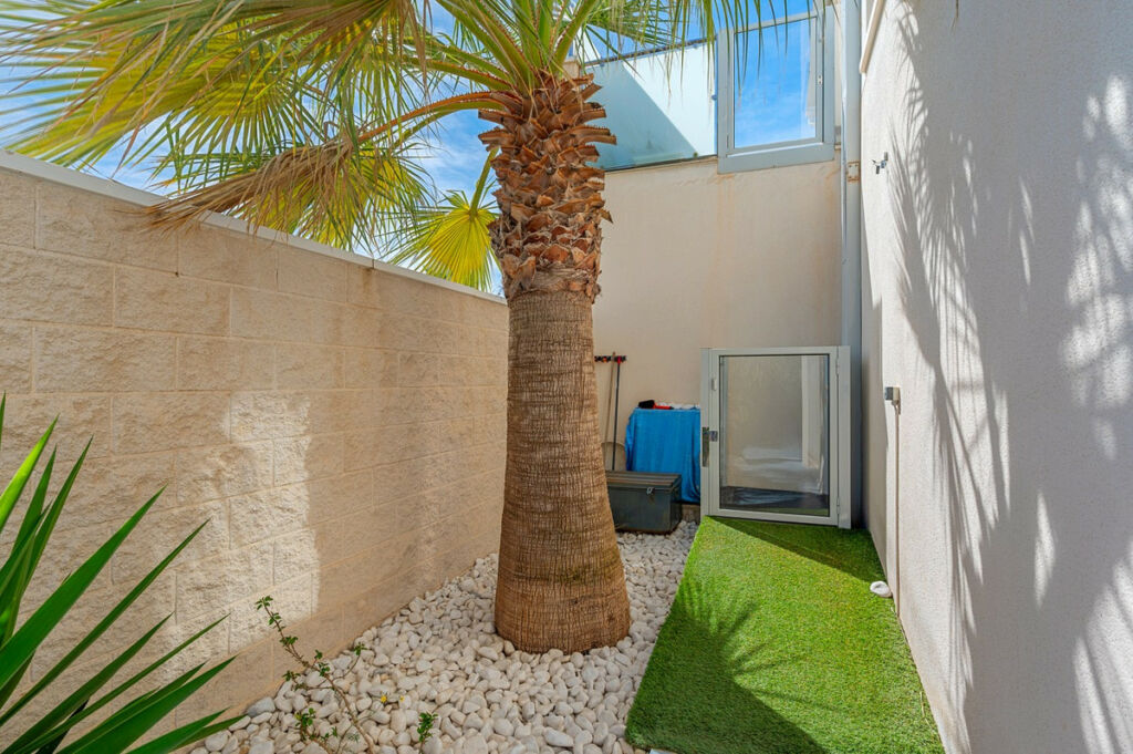 Detached Villa Benijofar Alicante - image 36