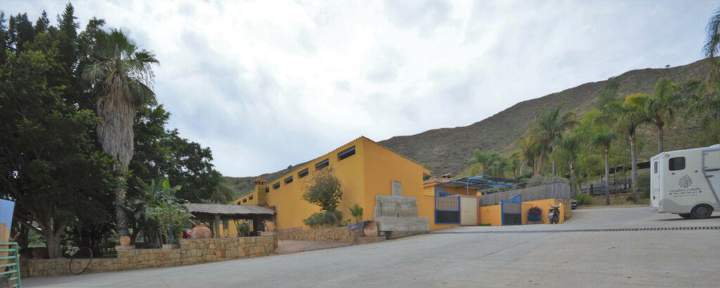 Finca - Cortijo Mijas Málaga - image 38