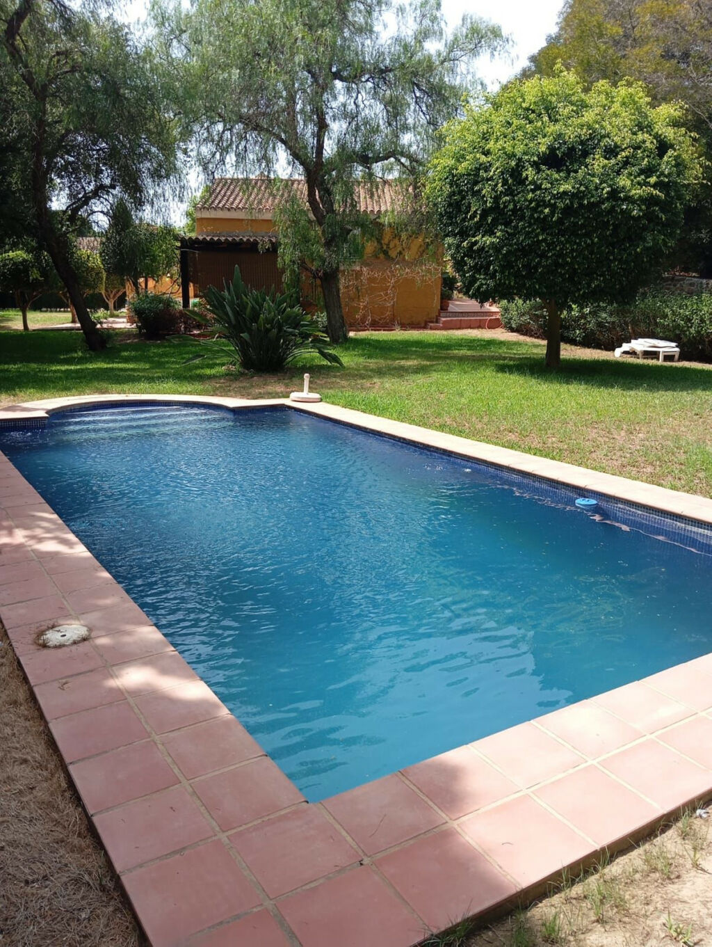 Detached Villa El Rosario Málaga - image 38