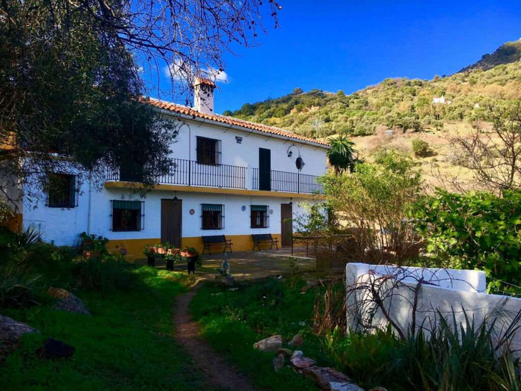 Finca - Cortijo Gaucín Málaga - image 38
