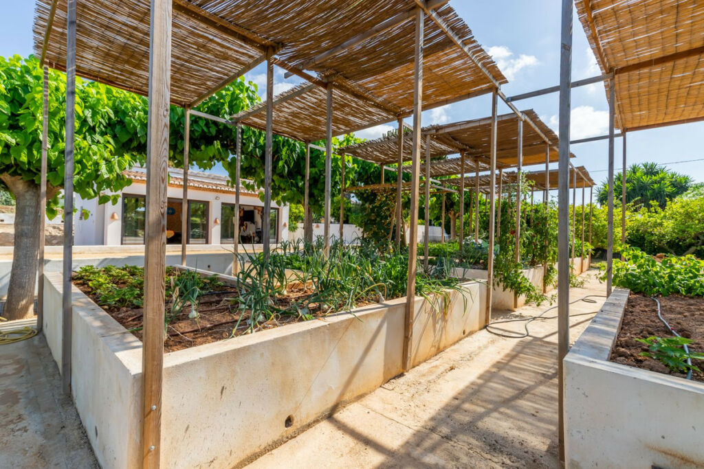 Finca - Cortijo Javea Alicante - image 38