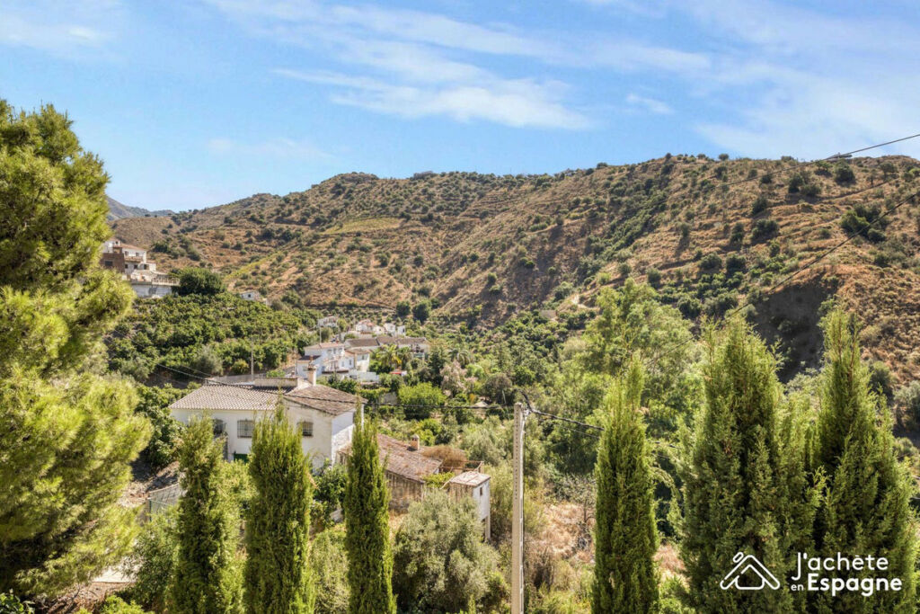 Detached Villa Canillas de Aceituno Málaga - image 38