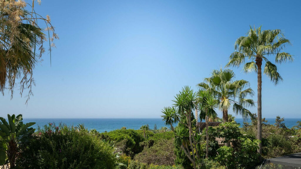Detached Villa Marbesa Málaga - image 39
