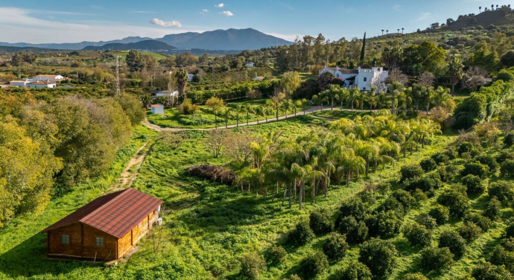 Detached Villa Coín Málaga - image 39