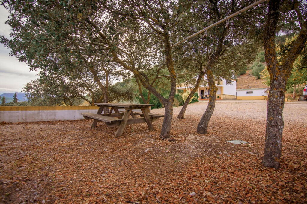 Detached Villa Ronda Málaga - image 39