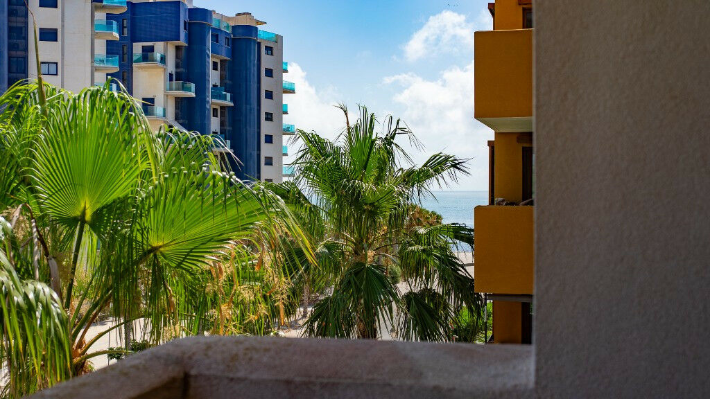 Middle Floor Apartment Punta Prima Alicante - image 4
