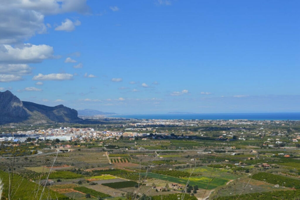 Land Pedreguer Alicante - image 4