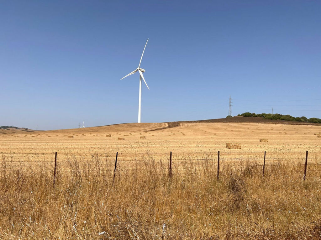 Land Vejer de la Frontera Cádiz