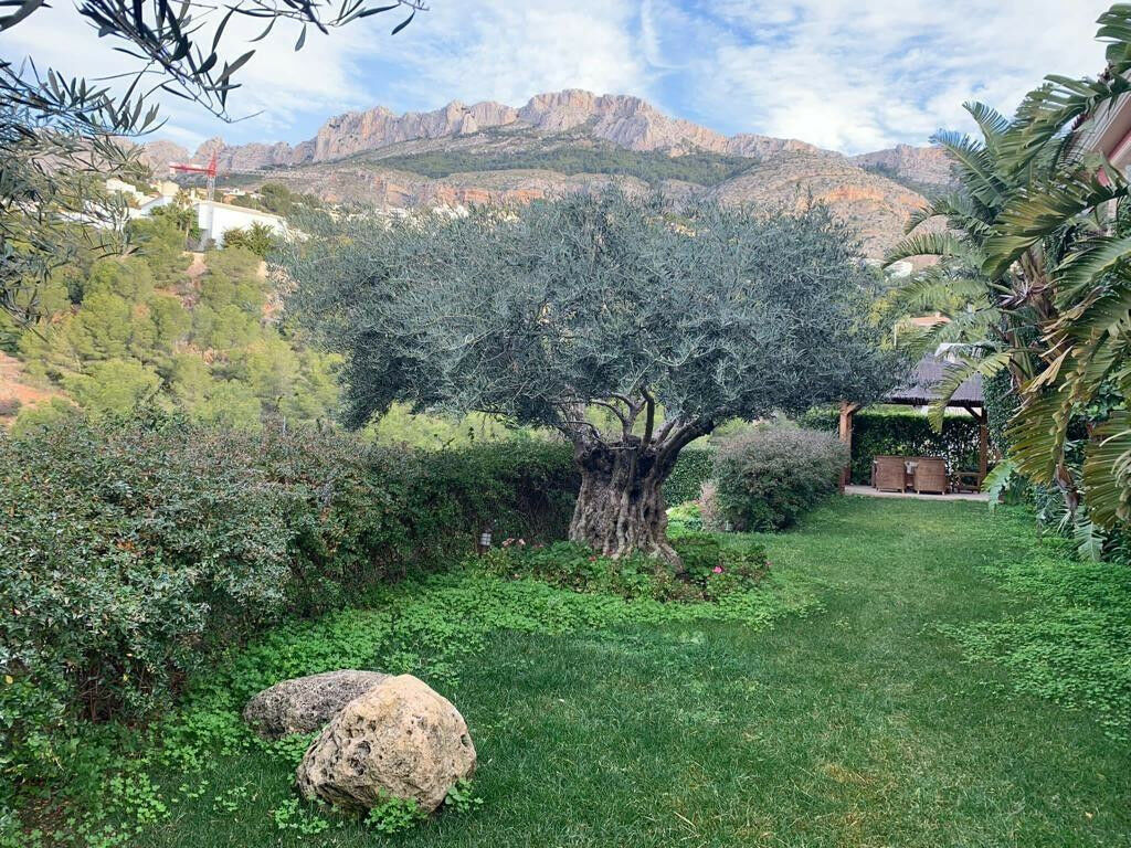Bungalow Altea Alicante - image 4