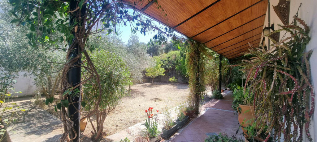 Detached Villa Cortes de la Frontera Málaga - image 4