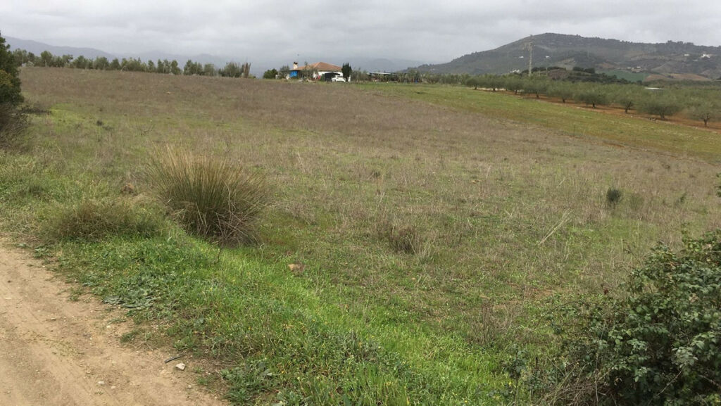 Land Coín Málaga - image 4