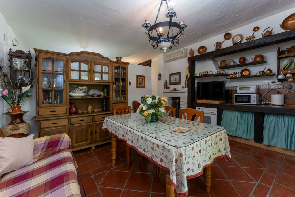 Detached Villa Coín Málaga - image 4