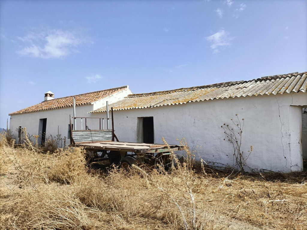 Farm Gaucín Málaga - image 3