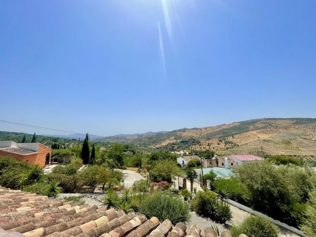 Detached Villa Periana Málaga - image 4