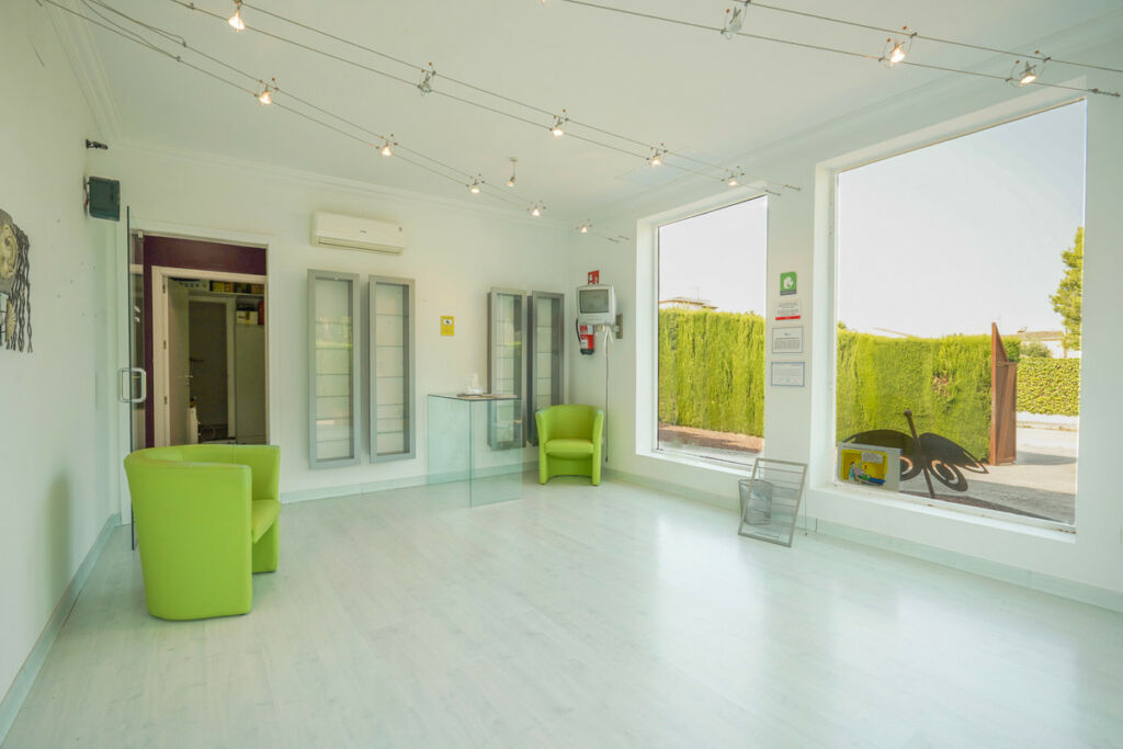 Detached Villa Javea Alicante - image 4