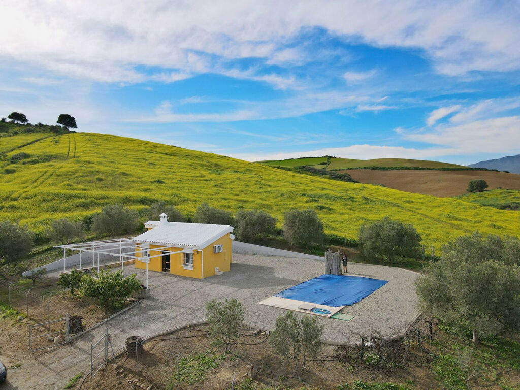 Finca - Cortijo Coín Málaga - image 4