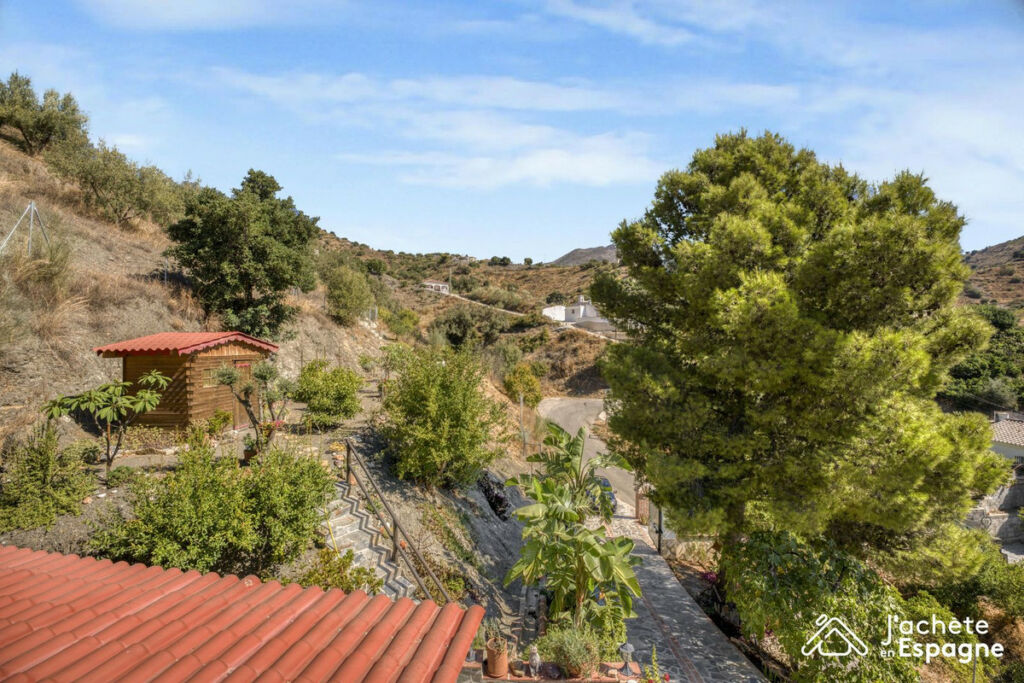 Detached Villa Canillas de Aceituno Málaga - image 40