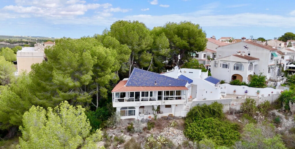 Detached Villa Pilar de la Horadada Alicante - image 40