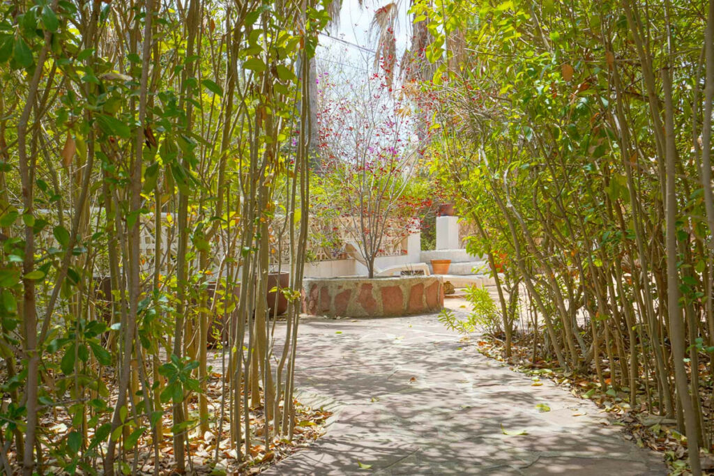 Detached Villa Javea Alicante - image 40