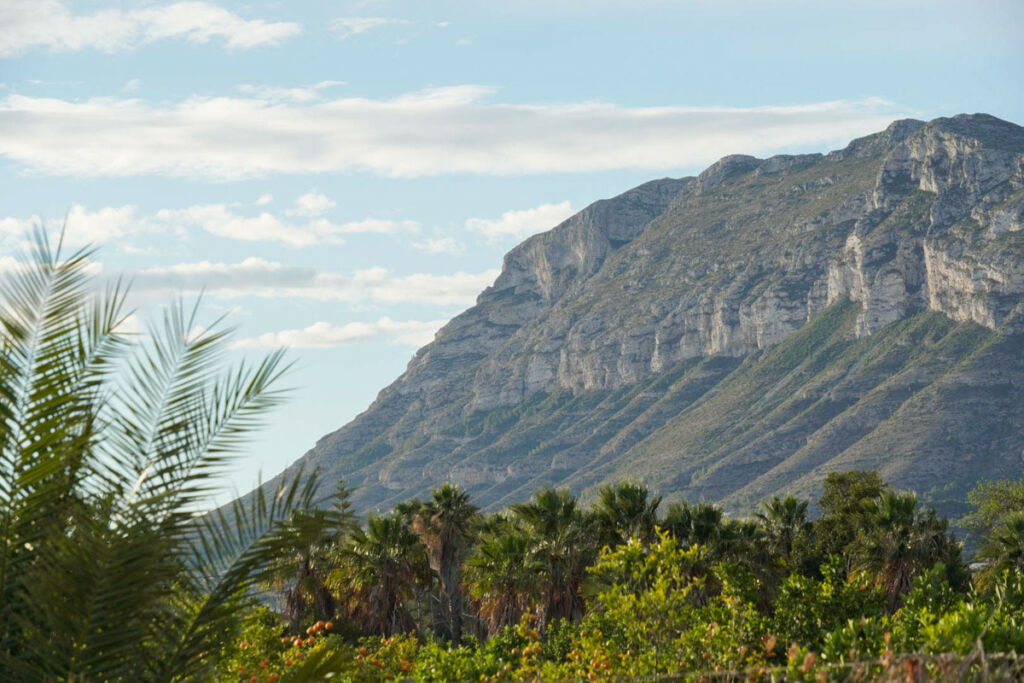 Detached Villa Denia Alicante - image 40