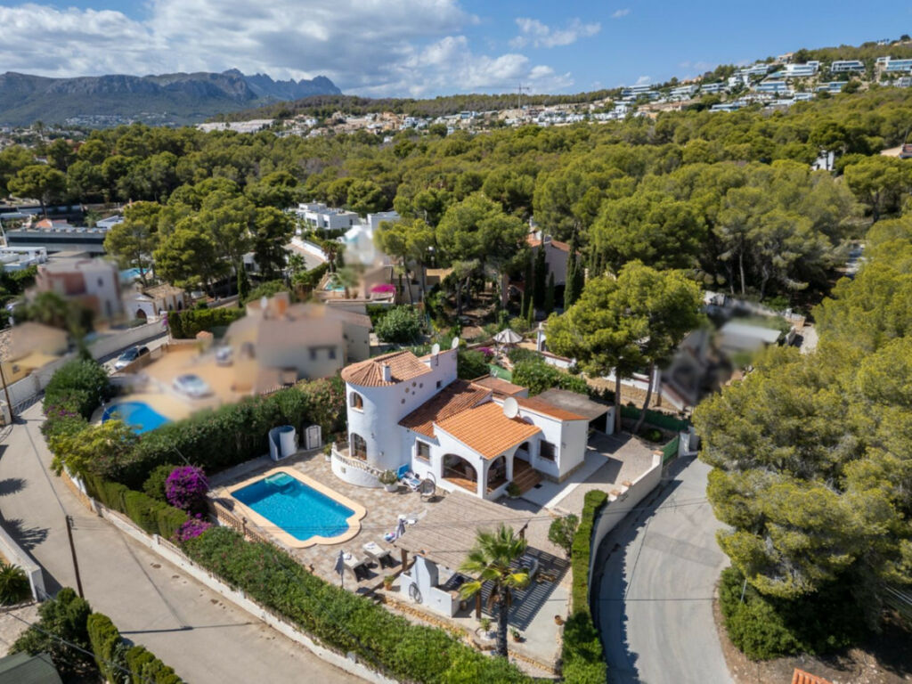 Detached Villa La Fustera Alicante - image 40