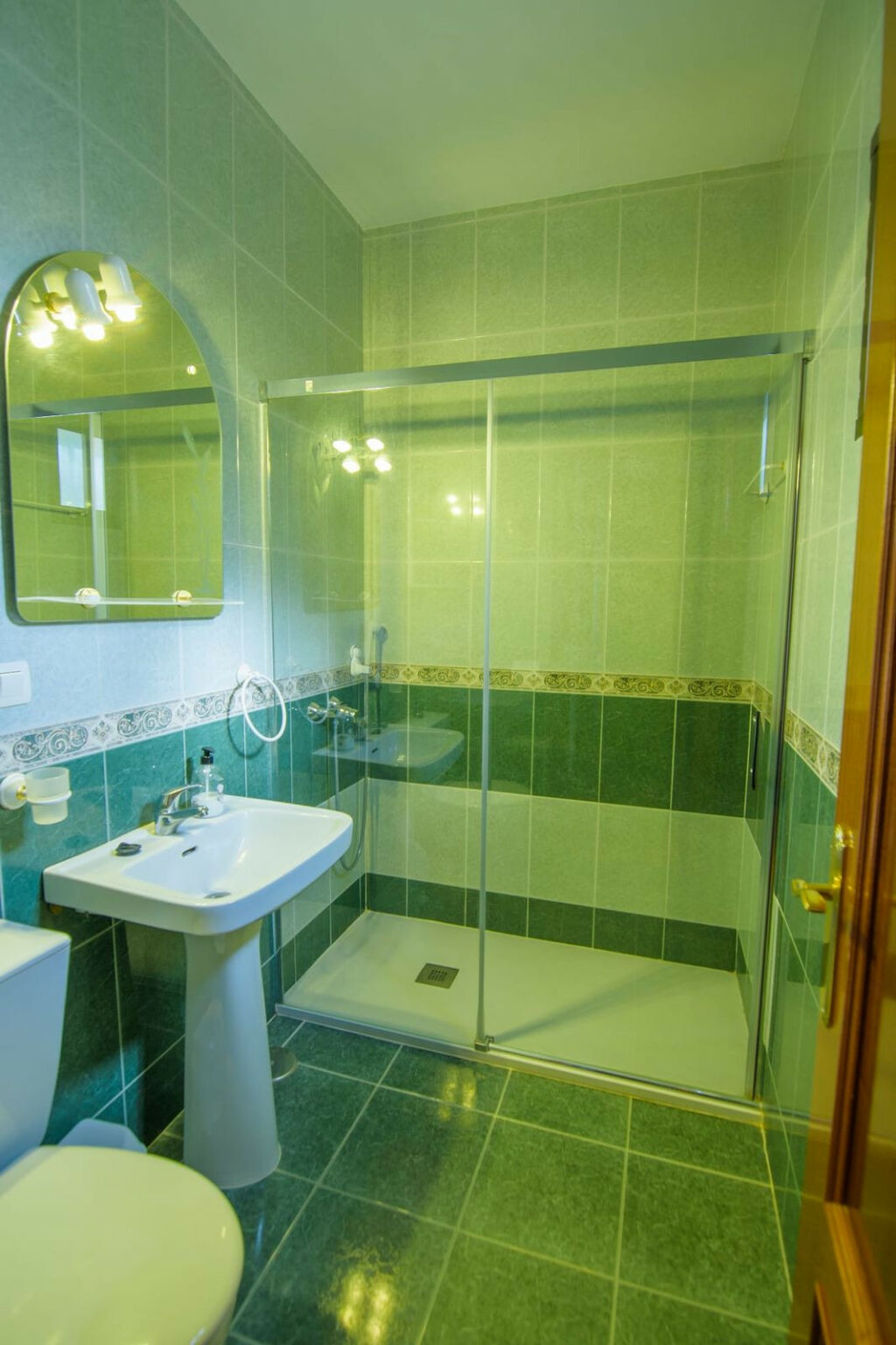 Detached Villa Ronda Málaga - image 41