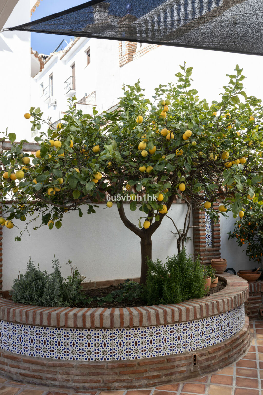 Detached Villa Mijas Málaga - image 41