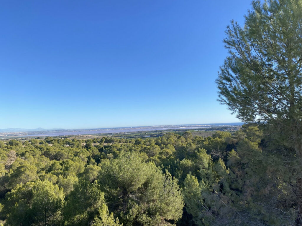 Detached Villa Villamartin Alicante - image 41