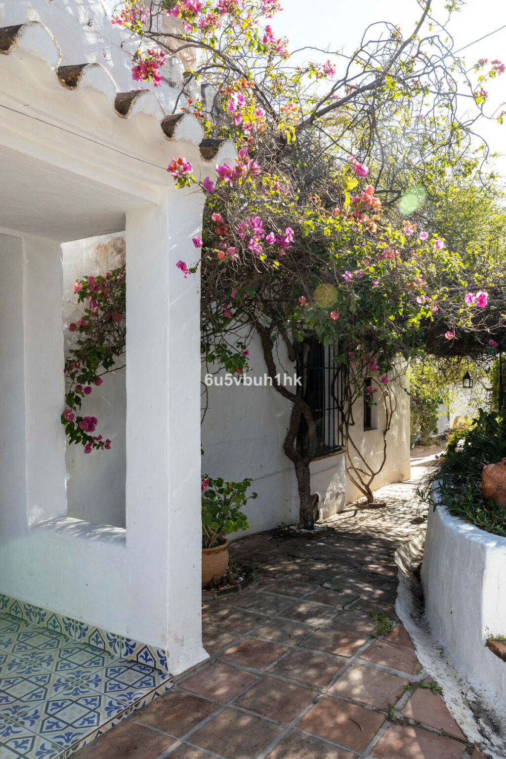Detached Villa Torrox Málaga - image 41