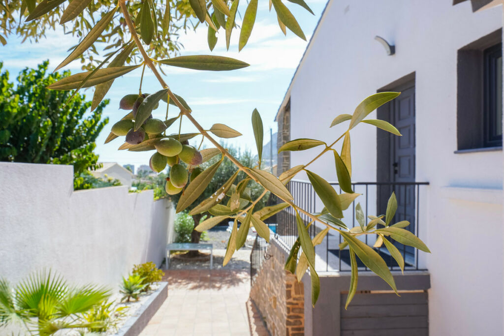 Detached Villa Calpe Alicante - image 41