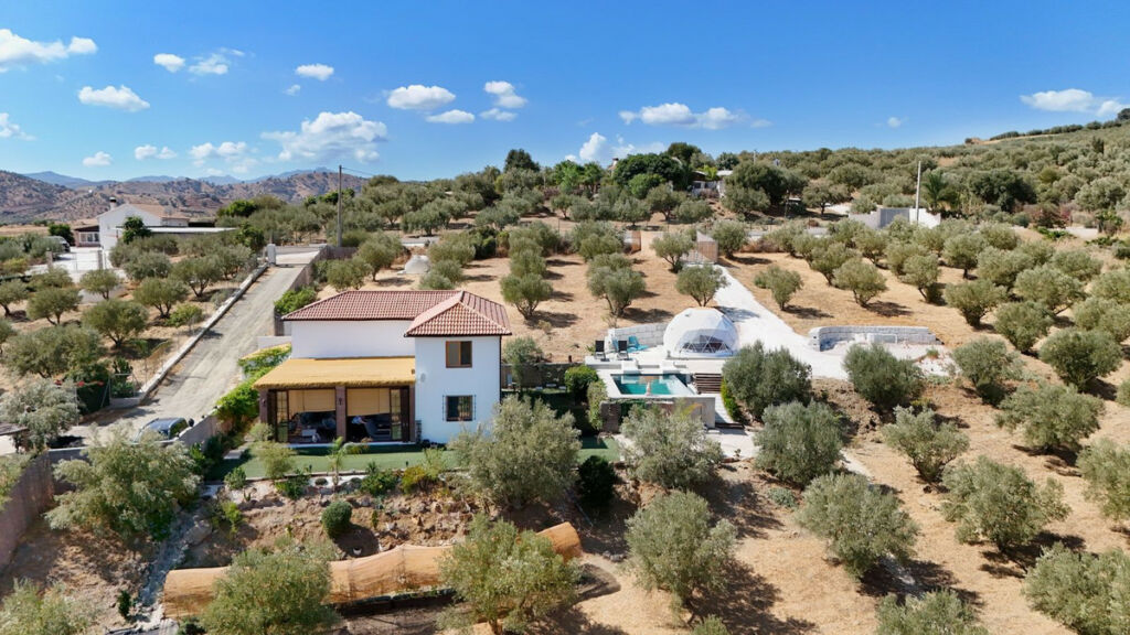 Detached Villa Coín Málaga - image 42