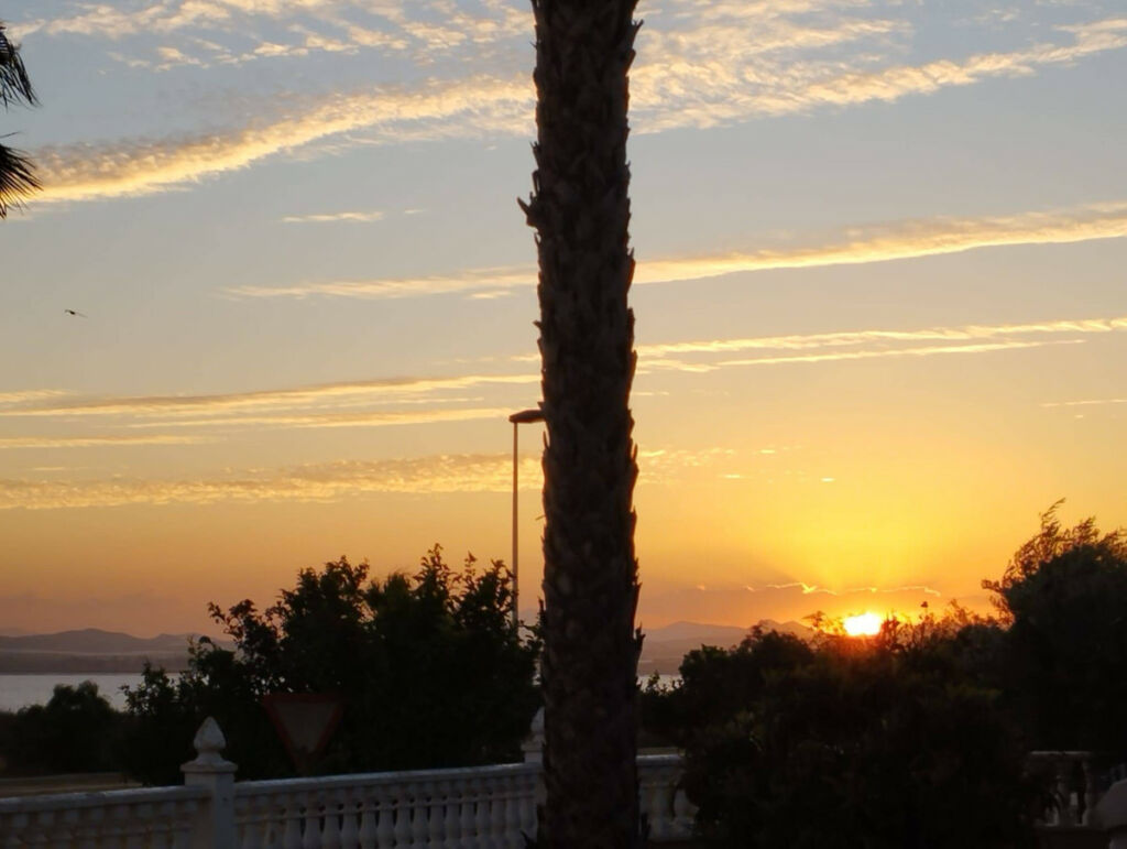 Detached Villa La Siesta Alicante - image 42